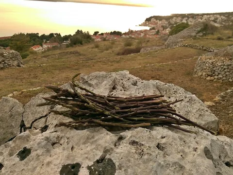 VT 72 - Vaša dnevna rutina - Brocka