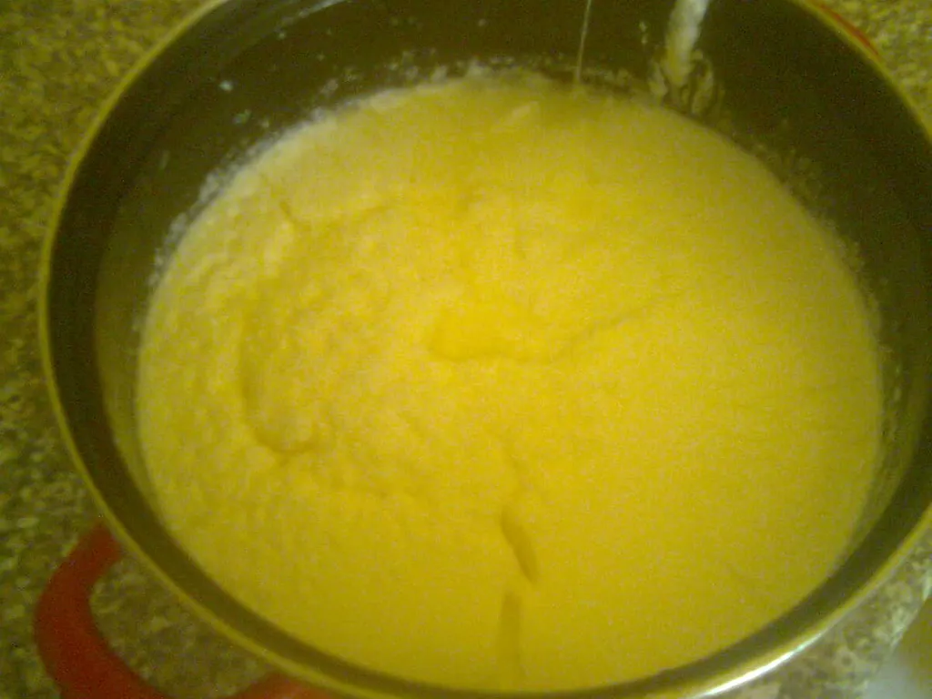 Domaći jogurt