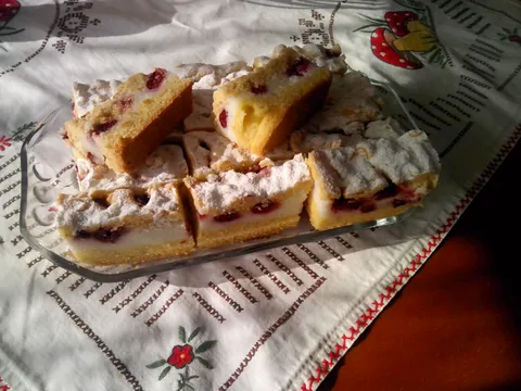 jogurt pita sa vocem