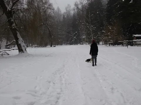 Vt 98 slika broj 1