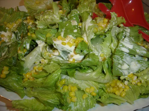 &#8221; Zeleno &#8211; zuta salata&#8221;