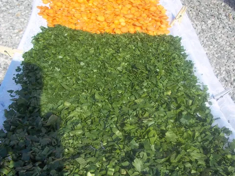 Povrce za juhu
