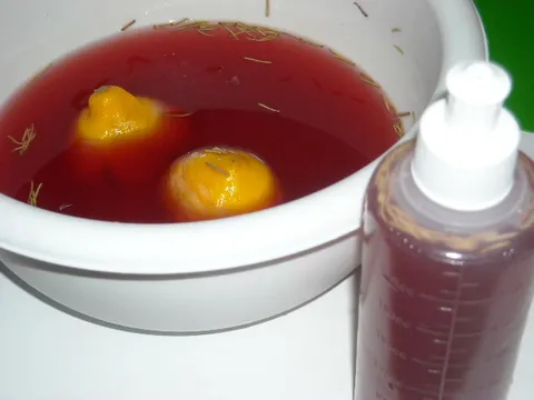 Domaci sampon za kosu i conditioner - recept i moja zapazanja