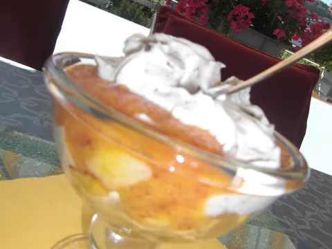 Brzinski desert