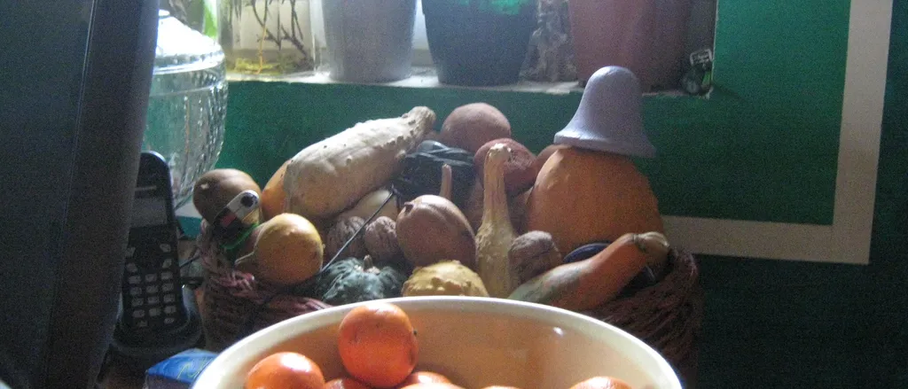 Mali kucni trikovi
