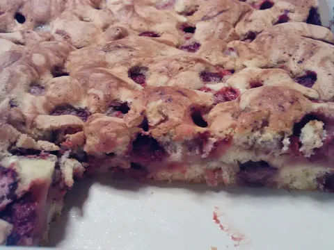 Jagode u biskvitu