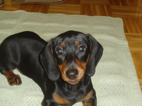 Betty