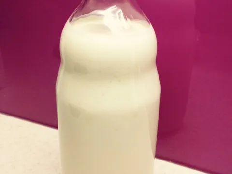 Njegovo visočanstvo - home made kefir :)