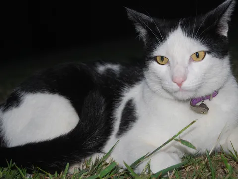 susjed Malii........<3<3