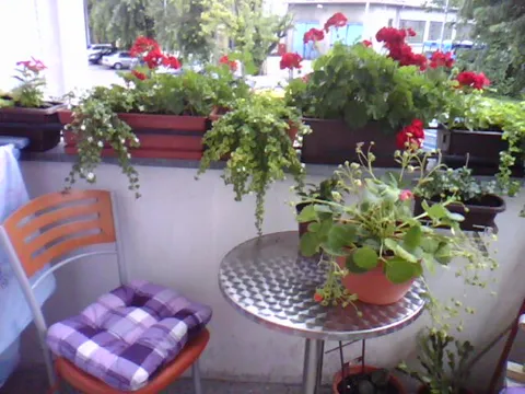 Moj omiljeni kutak