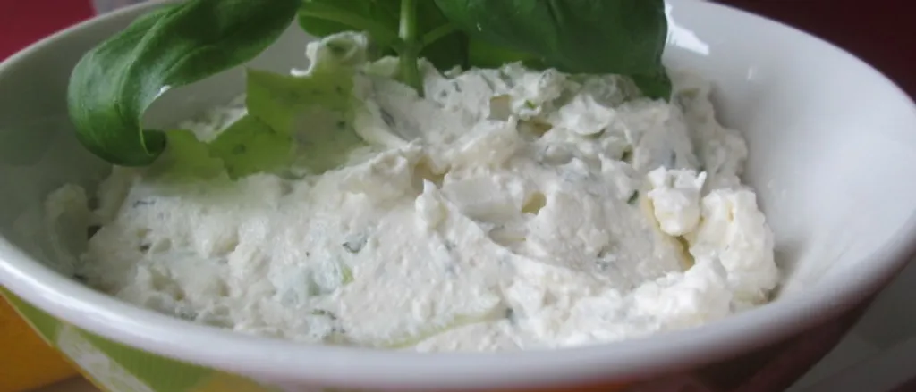 Dipovi