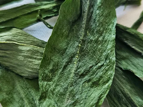 Medvjedji Luk - Suseni na zraku 
