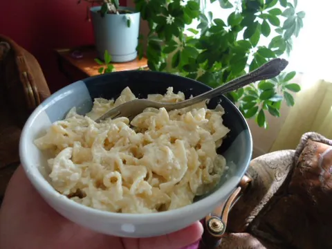 Makarone sa Sirom i Pavlakom
