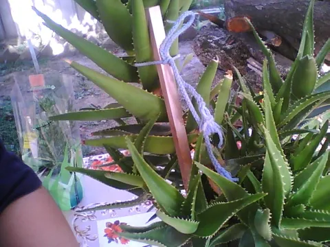:)
