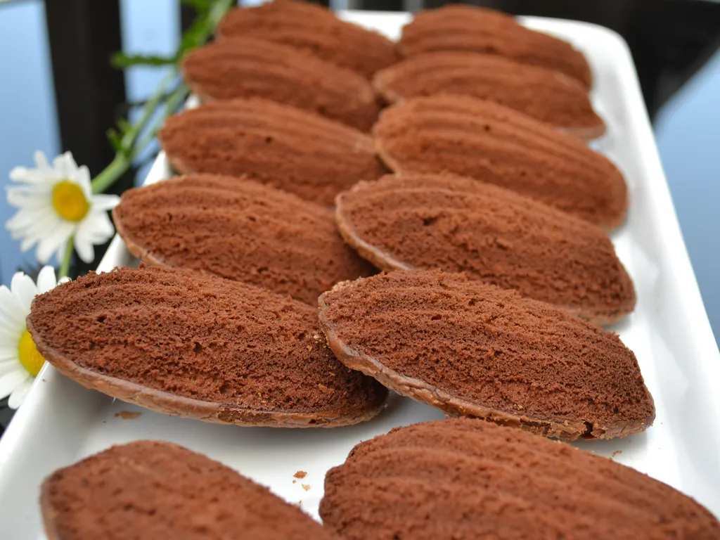 Nutela madeleines
