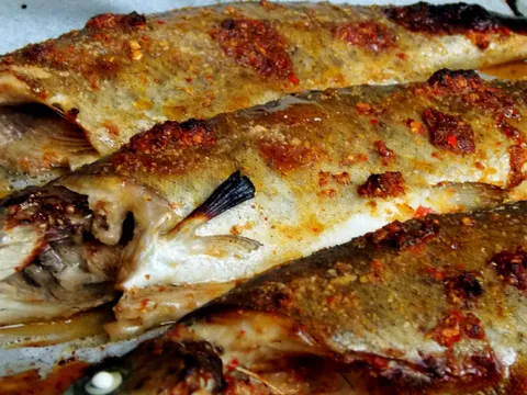 Pastrmka sa majčinom dušicom, medom...