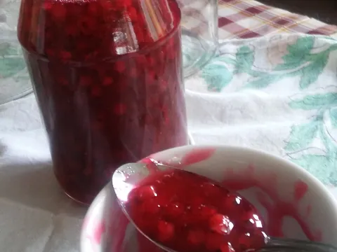Džem od ribizla