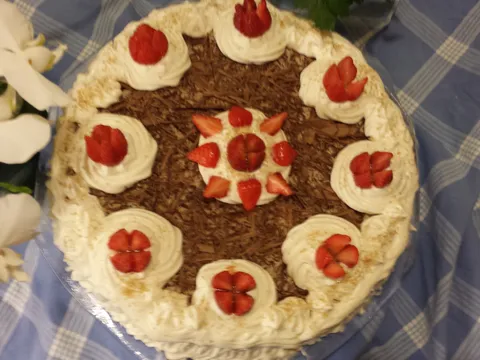 dianamakarska recept Havana torta