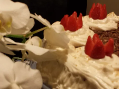 dianamakarska recept Havana torta