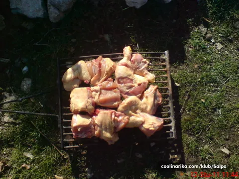 KOKOŠ (PILE) S GRADELA