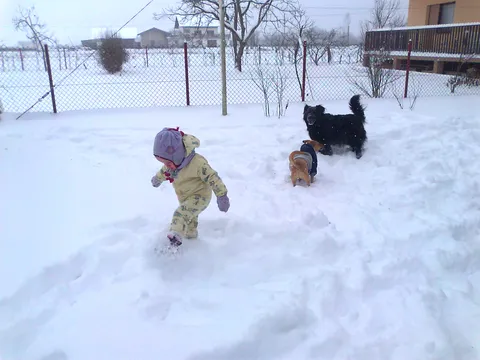 tko može odoliti