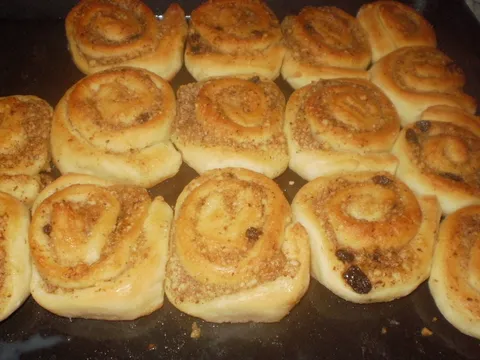 osinja gnjezda