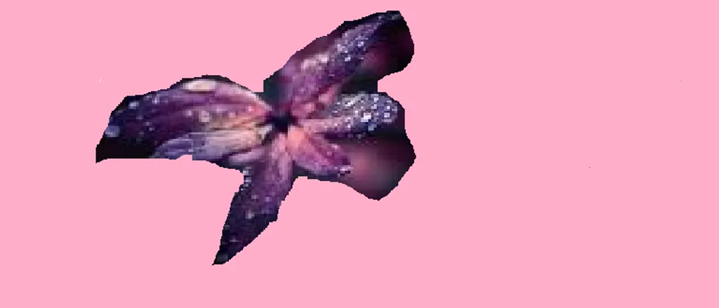 Dekoracii