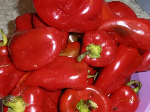 POHANE  PAPRIKE