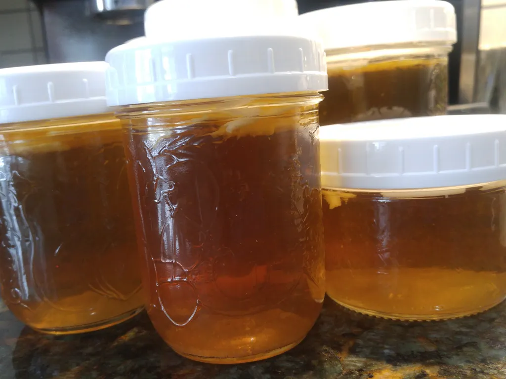 Beef ( bone) broth
