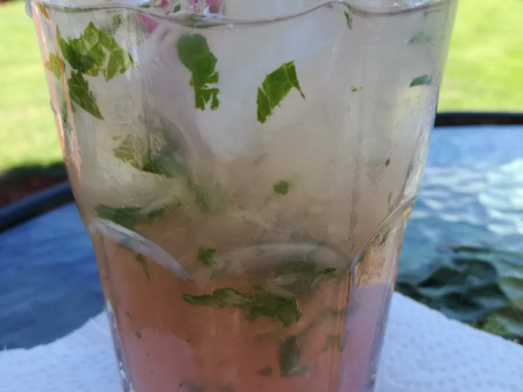 Rabarber mojito