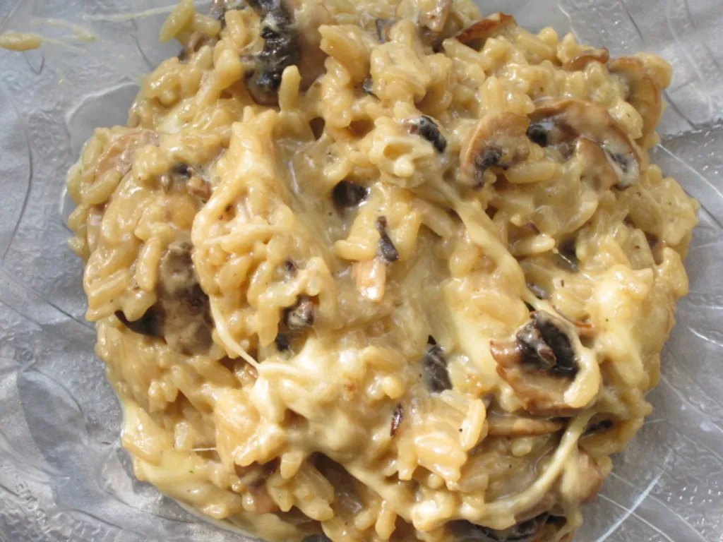 Rizoto sa sampinjonima i mozzarellom