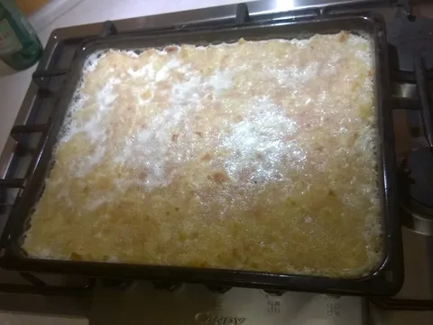 Kljukuša moje bake