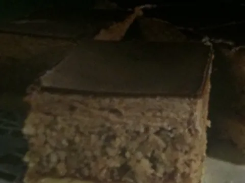 PRIJATELJ NOĆI