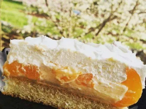Kolač sa marelicom