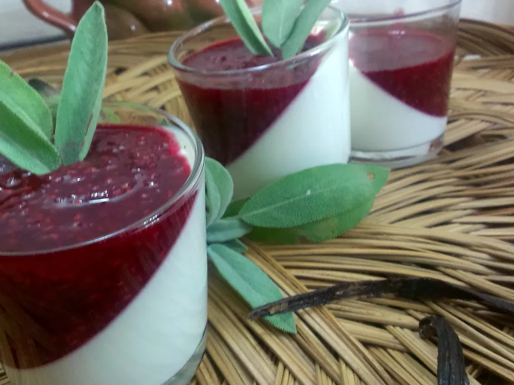Raspberry and panna cotta