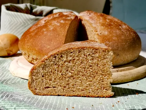 Integralni kruh 