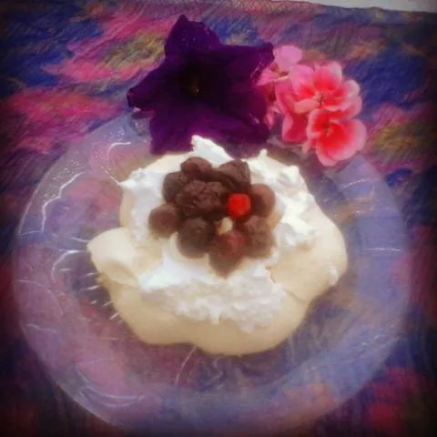 Pavlova