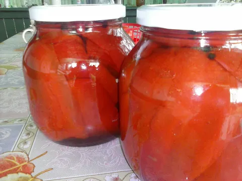 Kisela paprika-filet za zimnicu ;)