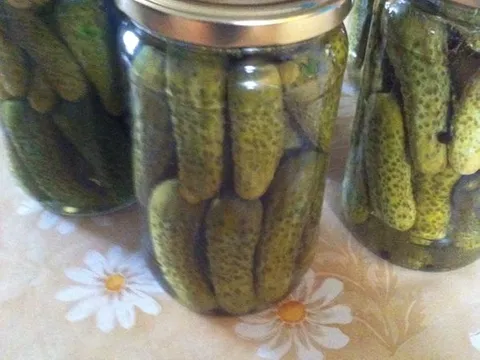 Kiseli krastavci na moj način