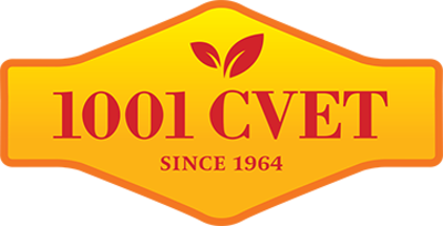 1001 cvet