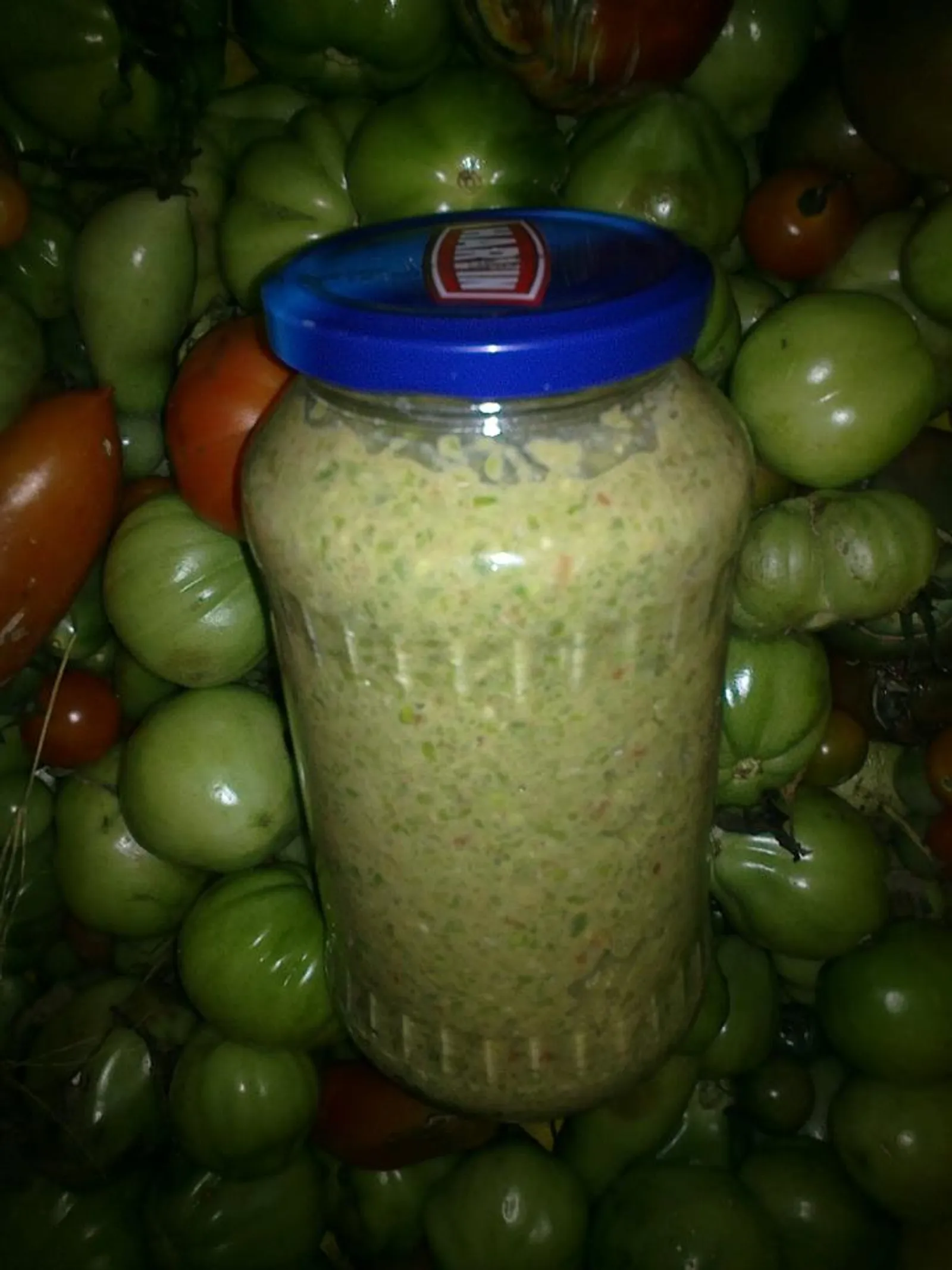 češki ajvar by hilary #4