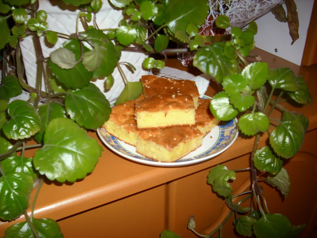 Ćuš