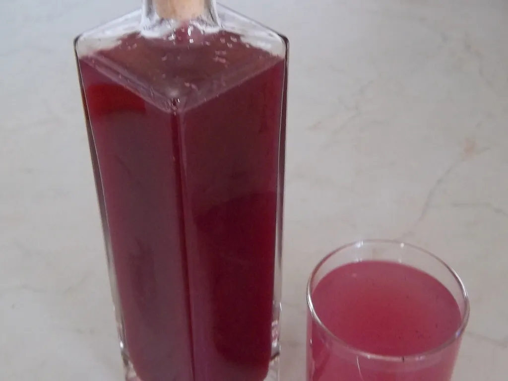 Sirup od šipka (nara)