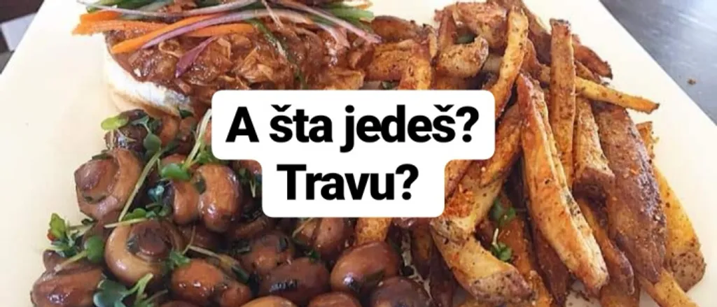 MITOVI O VEGANSTVU :)