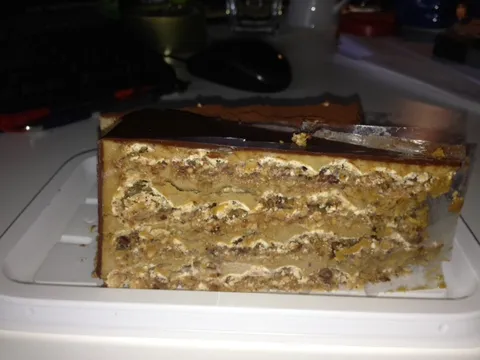 tortica M