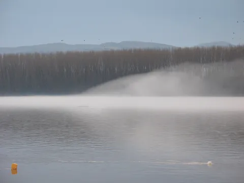 Kad magla &#8220;putuje&#8221;
