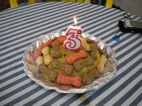 Pseca torta