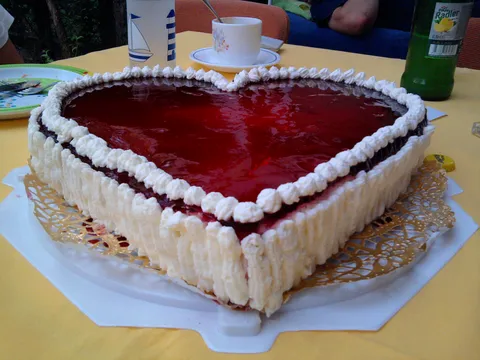 Srce za Zrinku