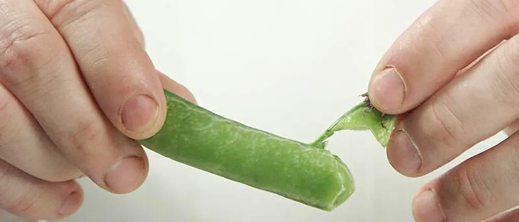 Čišćenje graška