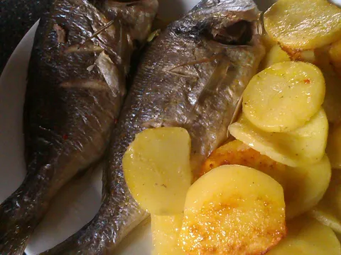 orada s krumpirom